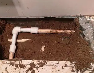 辽阳测漏水哪家好